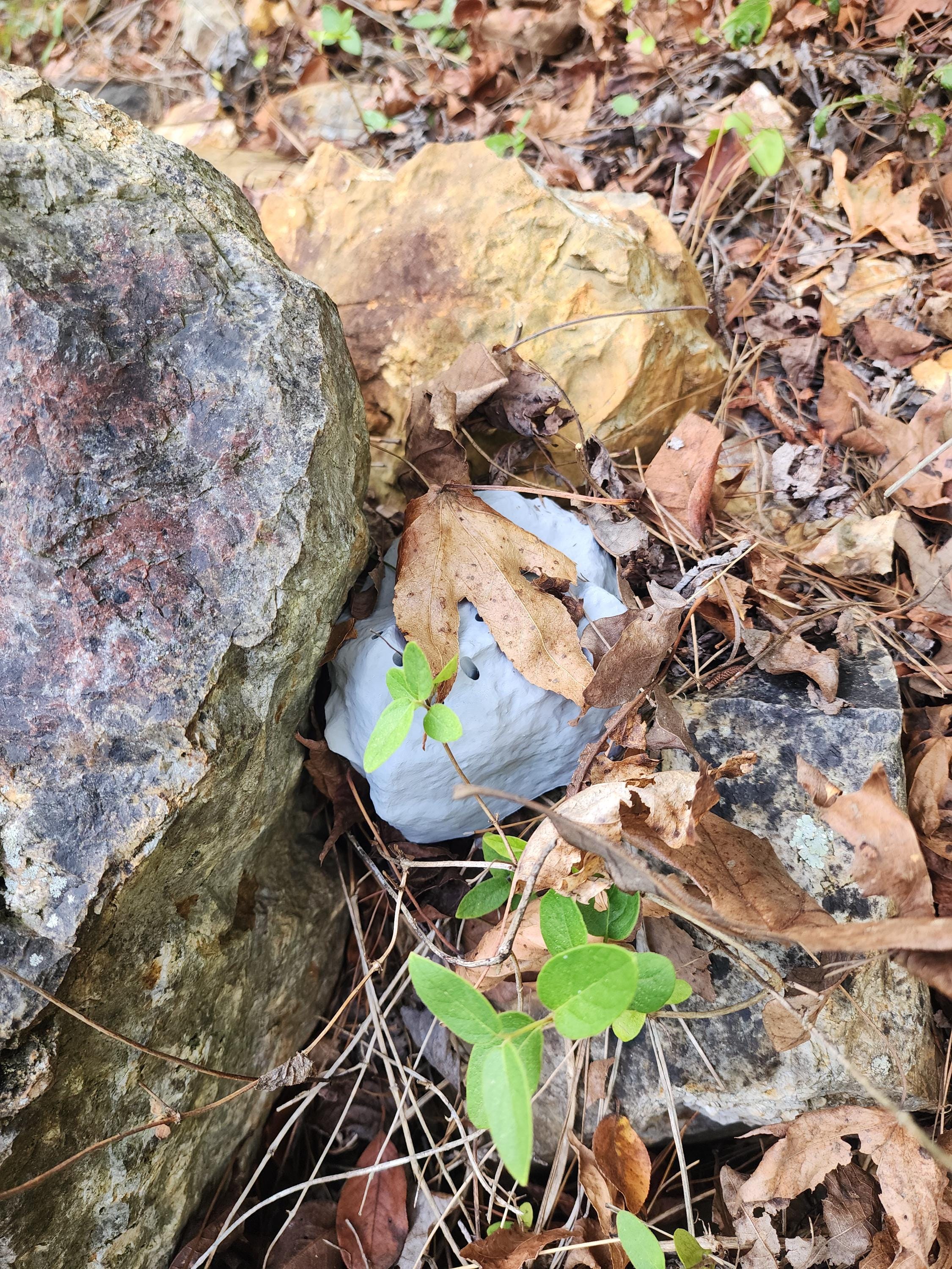 Realistic Rock Hide